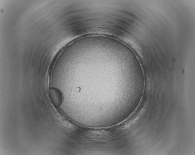 X0000089361125200707061043