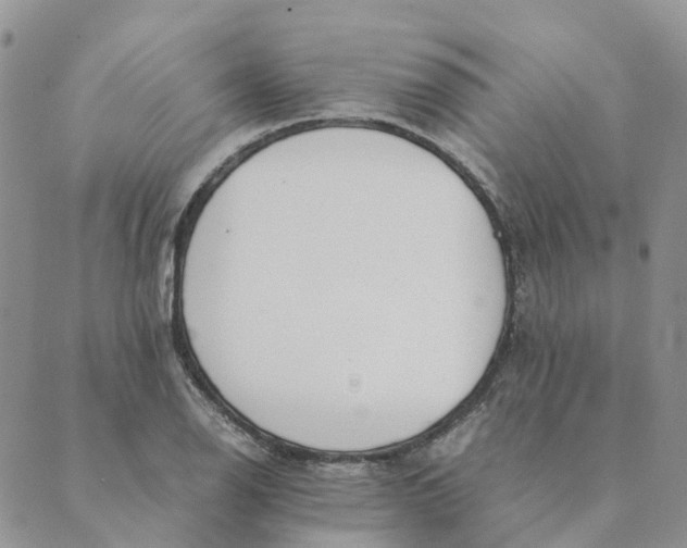 X0000089361126200707061043