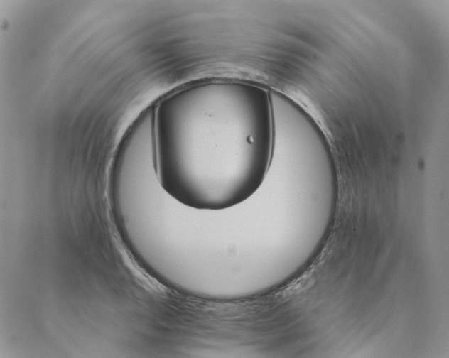 X0000089361128200707061043