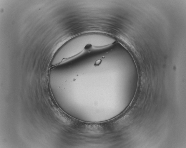 X0000089361129200707061043