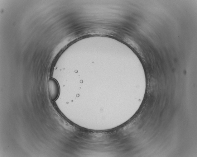 X0000089361130200707061043