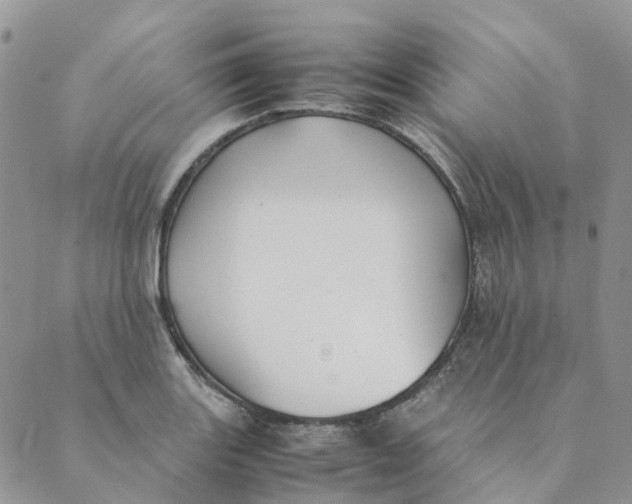 X0000089361131200707061043