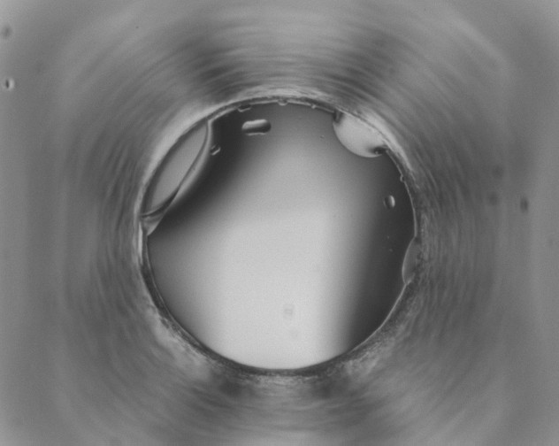 X0000089361132200707061043