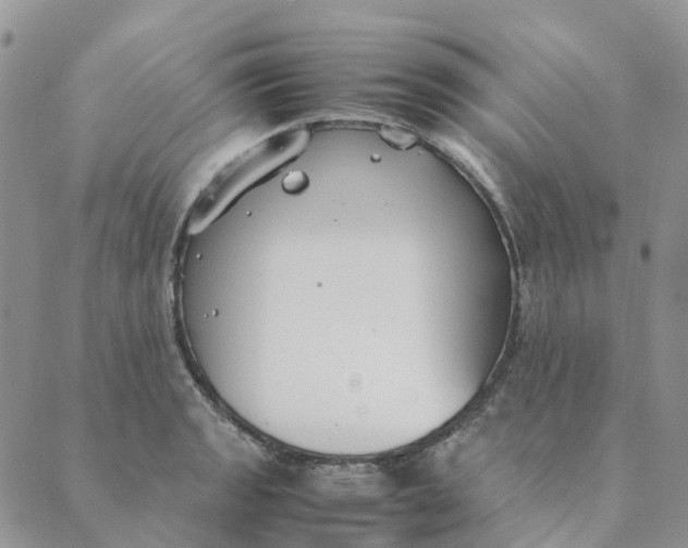 X0000089361133200707061043