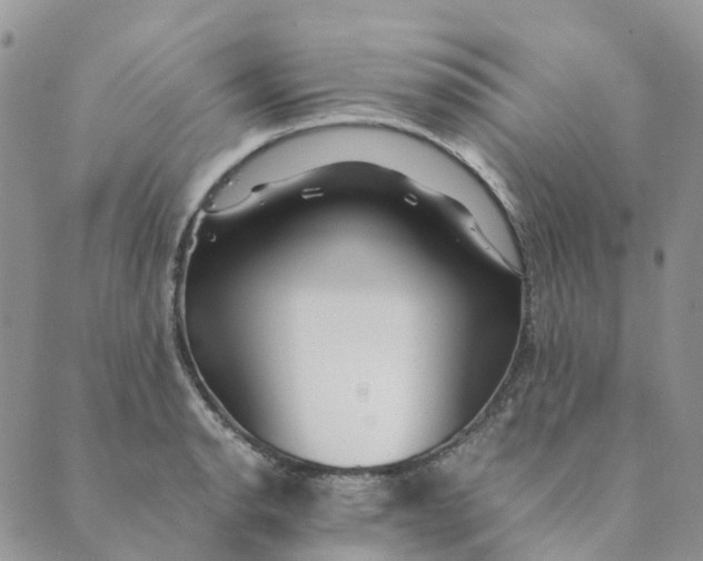 X0000089361134200707061043