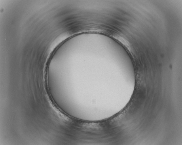 X0000089361135200707061043