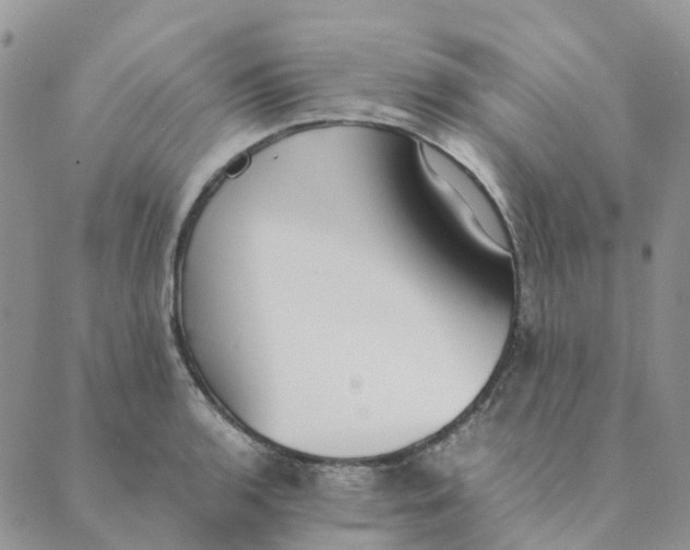 X0000089361136200707061043