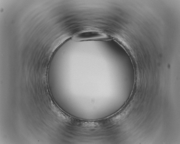 X0000089361137200707061043