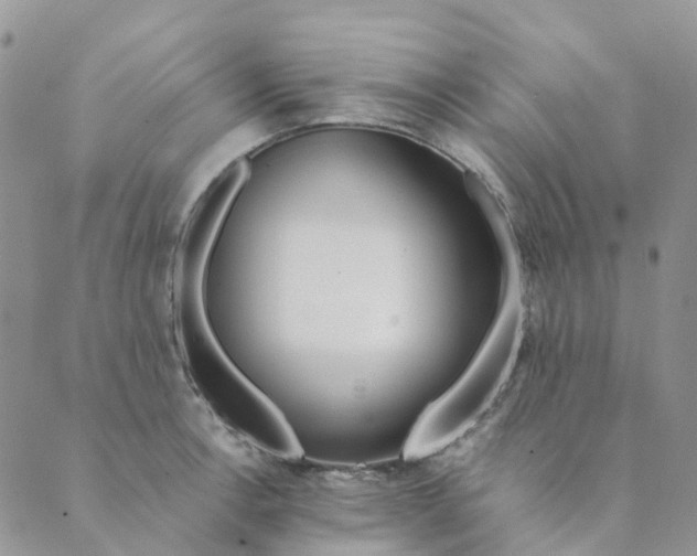 X0000089361138200707061043