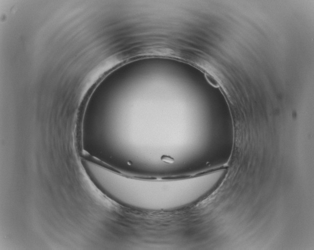 X0000089361139200707061043