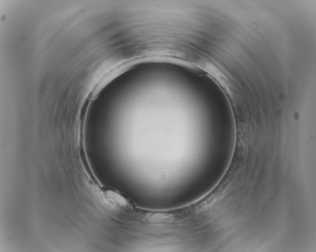 X0000089361140200707061043