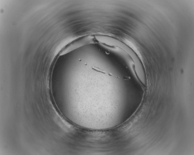 X0000089361141200707061043