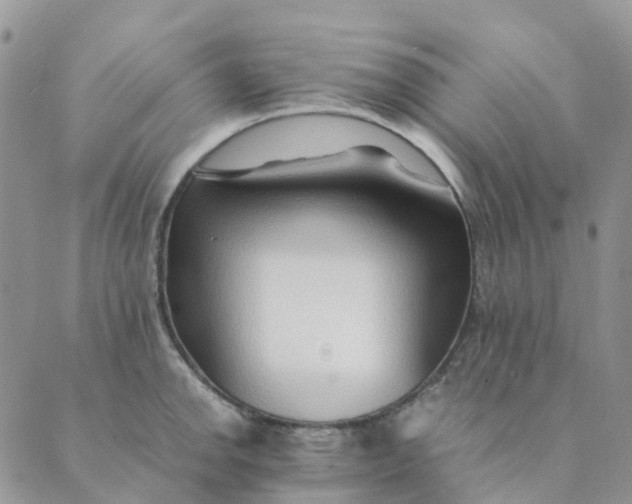 X0000089361142200707061043