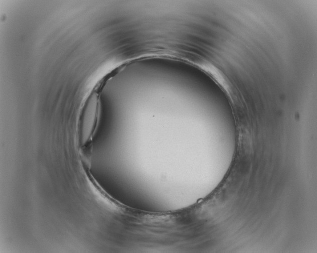 X0000089361143200707061043