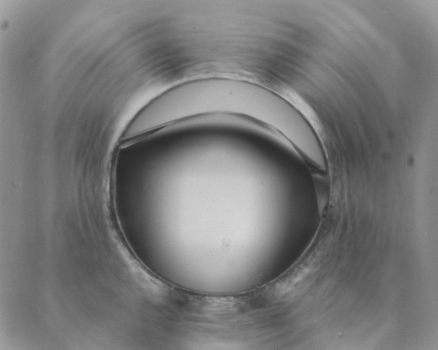 X0000089361144200707061043