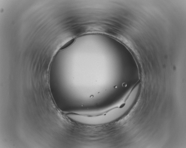 X0000089361145200707061043