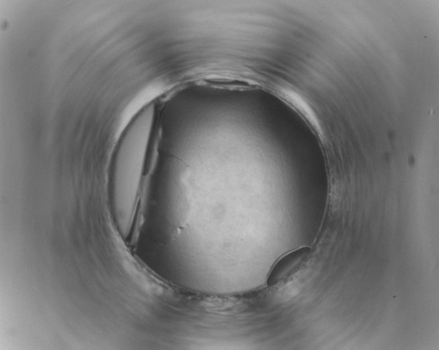 X0000089361146200707061043