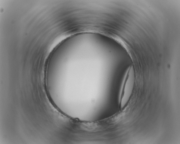 X0000089361147200707061043