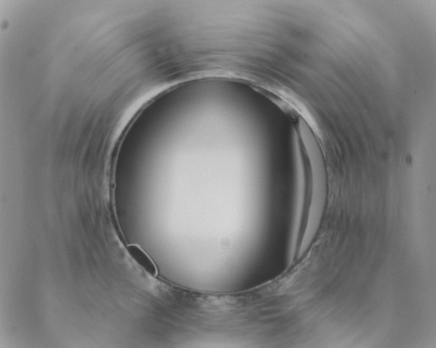 X0000089361148200707061043