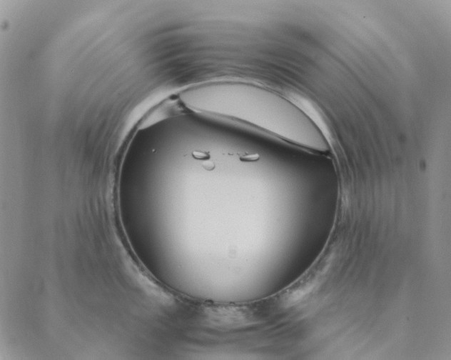 X0000089361149200707061043