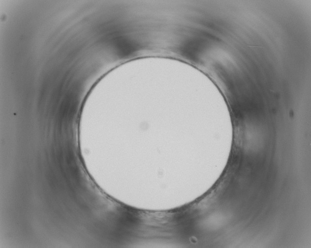 X0000089361150200707061043