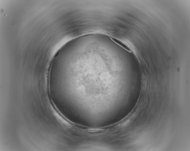 X0000089361151200707061043