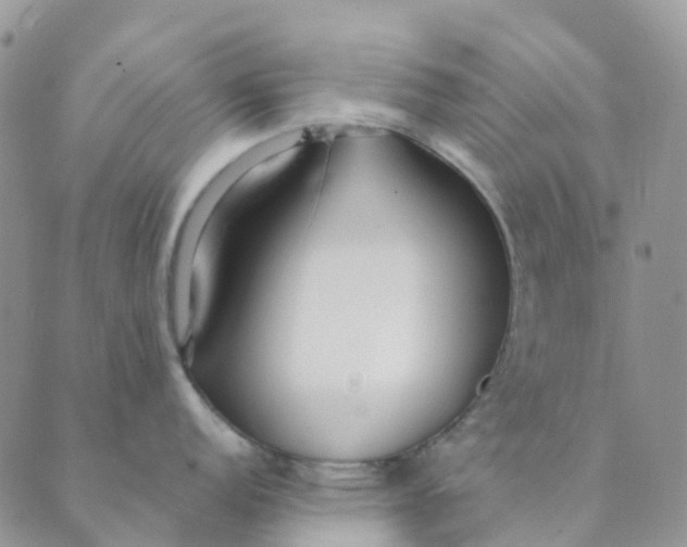 X0000089361152200707061043