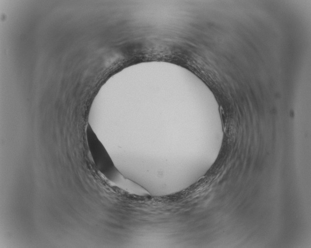 X0000089361153200707061042