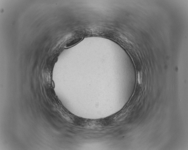 X0000089361155200707061042