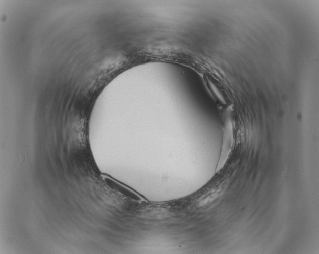 X0000089361156200707061042