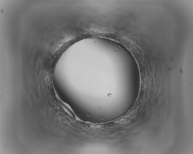 X0000089361157200707061042