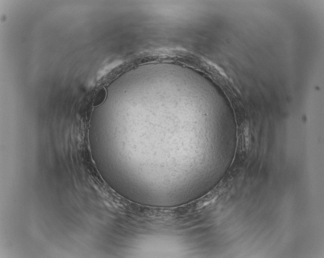 X0000089361158200707061042