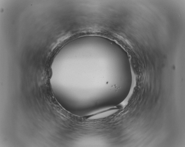 X0000089361160200707061042