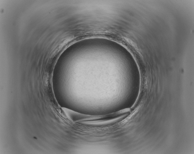 X0000089361161200707061042