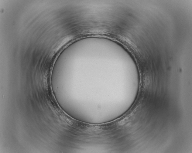 X0000089361162200707061042