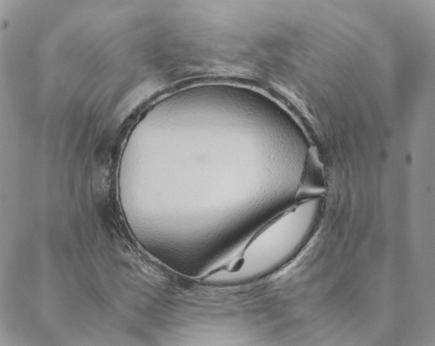 X0000089361163200707061042