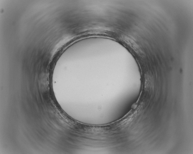 X0000089361164200707061042