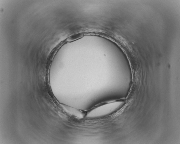 X0000089361165200707061042