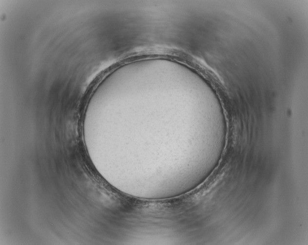 X0000089361166200707061042