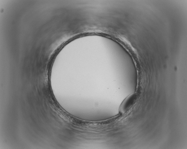 X0000089361167200707061042