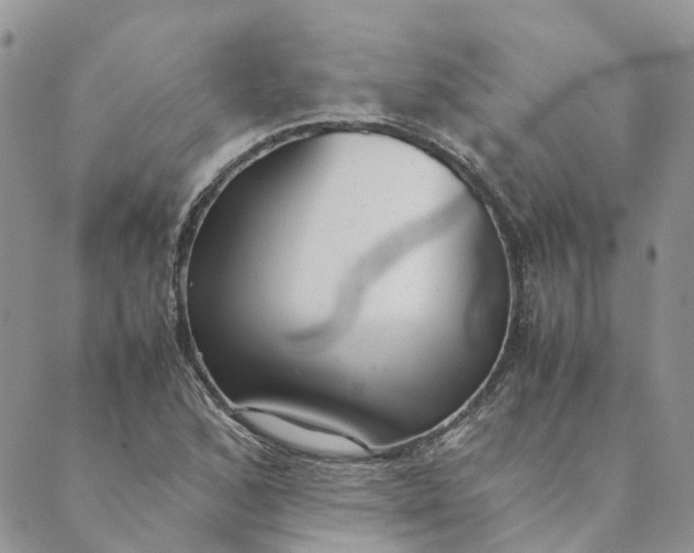 X0000089361168200707061042