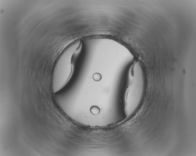 X0000089361169200707061042