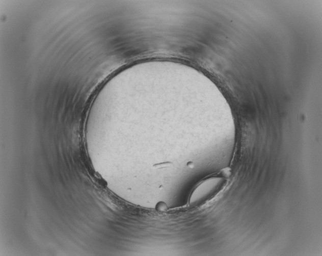 X0000089361170200707061042