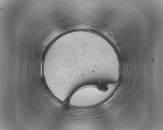 X0000089361171200707061042