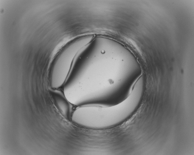 X0000089361172200707061042