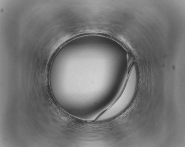 X0000089361173200707061042