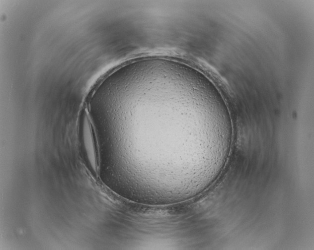 X0000089361174200707061042