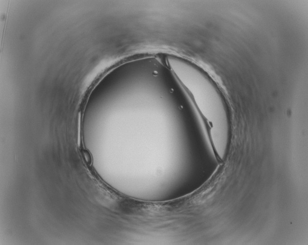 X0000089361175200707061042