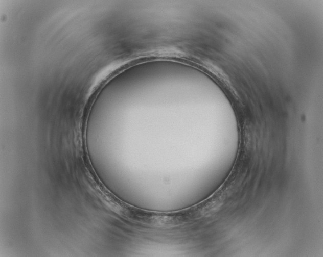 X0000089361176200707061042