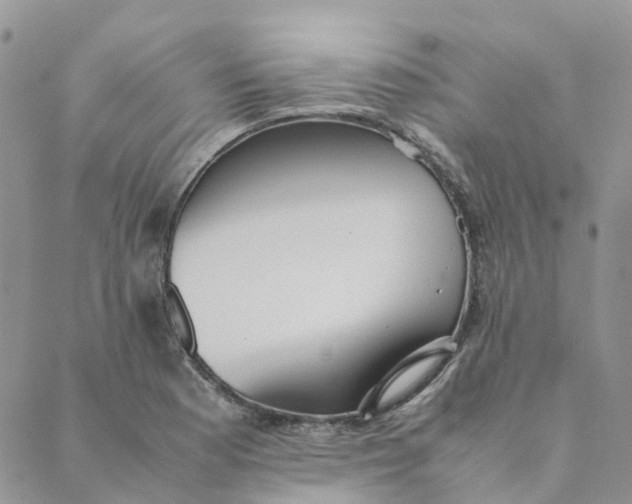 X0000089361177200707061042